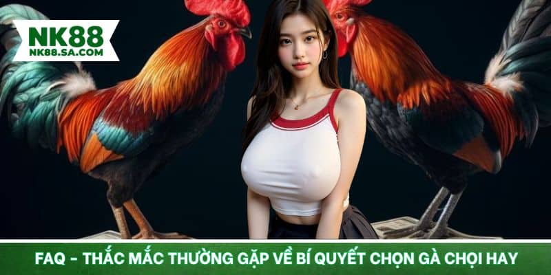 FAQ- Câu hỏi về cách chọn chọi kê đá hay