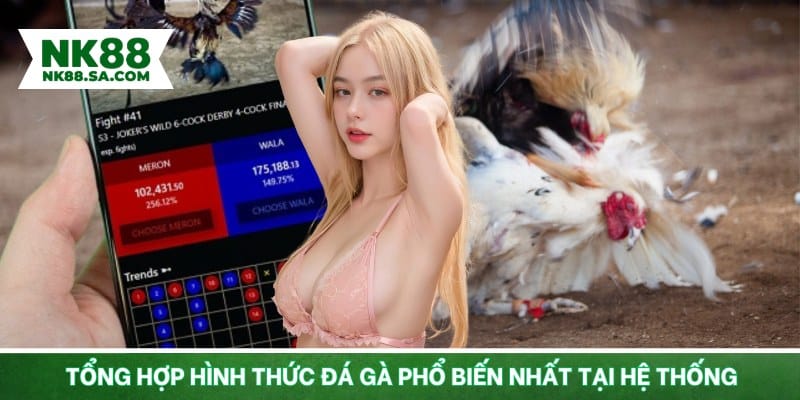 Tổng hợp hình thức đá gà phổ biến nhất tại hệ thống
